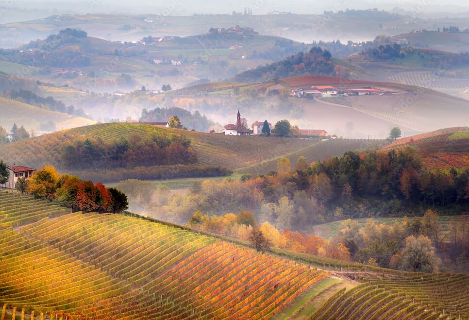 Piedmont bike trip through vineyards, small villages and the Langhe hills